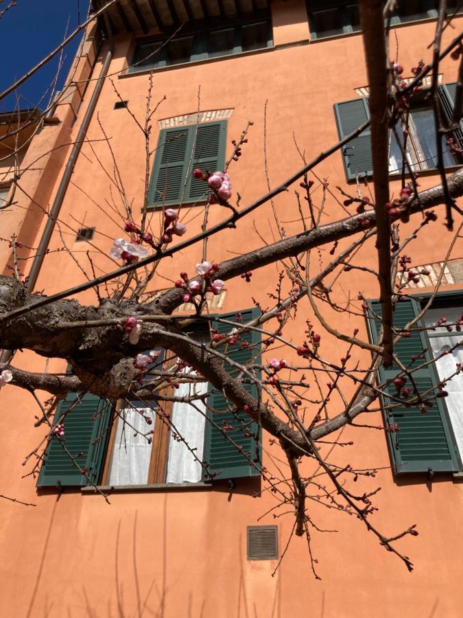 Tuscany Location Marta Exterior foto